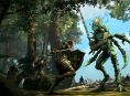 Bliv opdateret på de nye features der introduceres i The Elder Scrolls Online: High Isle