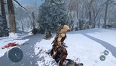 Assassin's Creed III - Frontier Walkthrough Commentary